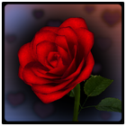 3D Rose Bouquet Live Wallpaper icon