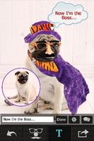 برنامه‌نما Pet Photo Editor - Funny & Live Color Effect Maker عکس از صفحه