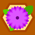 Flower Field