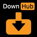 DownHub: Téléchargeur de vidéo APK