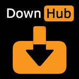 DownHub иконка