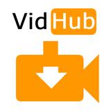 VidHub: Baixador de vídeo