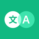 Instant Screen Translator APK