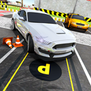 çılgın park şoförü mani: mükemmel araba parkı APK