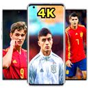 spain national football team APK