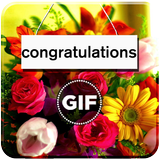 Congratulation Gif icon