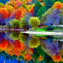 Autumn Wallpaper HD APK