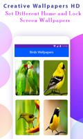 Bird Wallpapers HD स्क्रीनशॉट 1