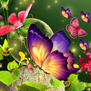 Butterfly Wallpaper HD aplikacja