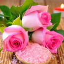 Flowers Wallpapers HD-APK