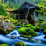Nature Wallpapers آئیکن