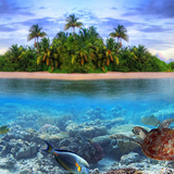 Sea wallpapers HD Zeichen
