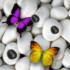 Stone Wallpapers иконка
