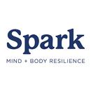 Spark Pilates APK