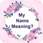 My Name Meaning icône