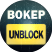 VPN Unblock Bokep Access