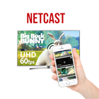 NetCast Zeichen