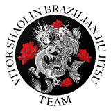 Vitor Shaolin Jiujitsu иконка