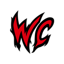 Wildcats Combat APK