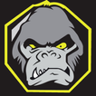 Evolucao Thai Keller MMA