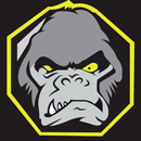 Evolucao Thai Keller MMA APK