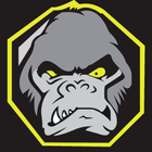 Evolucao icon