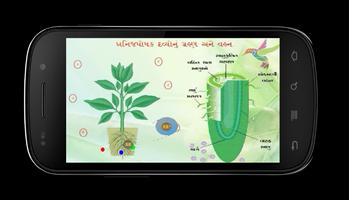 Animated Biology GSEB 12-1-3 اسکرین شاٹ 2