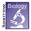 APK English 11th Biology Sem 1