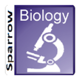 English 11th Biology Sem 1 icône