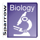 English 11th Biology Sem 1-icoon