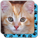Puzzle Games free: Cute Cats aplikacja