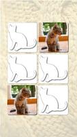 Jogos da Memória: Gatos fofos imagem de tela 1