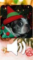 sparse kids Animals Christmas تصوير الشاشة 1