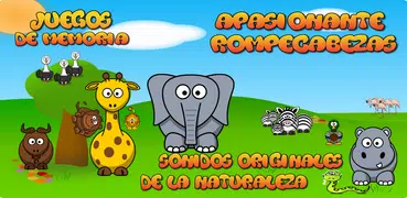 Juegos para Niños de 4 áños