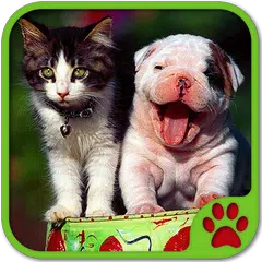 Descargar XAPK de Juegos de Perros y Gatos