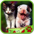 Jogo de Gato e Cachorro