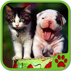 Cats And Dogs Games आइकन