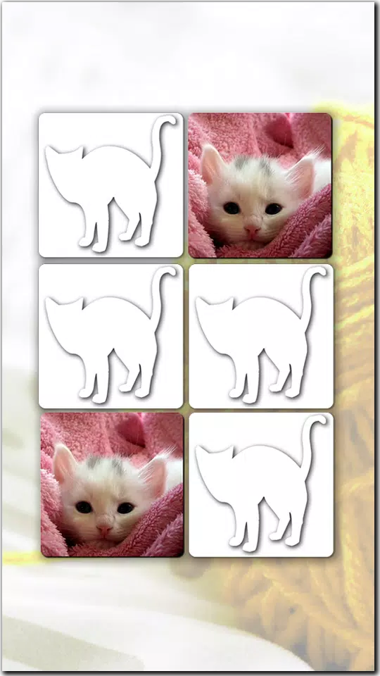 Download do APK de Jogos de Gatos e Gatas fofos para Android