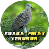 full album dangdut populer