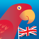 Speak English! APK