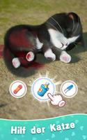 Kitten Match 3D Plakat