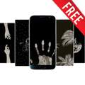 Black Wallpapers