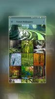 Fantasy Forest Wallpapers bài đăng