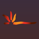 Diamantina Tourism APK