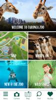 Taronga Zoo پوسٹر