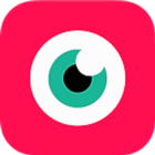 NDI Camera icono