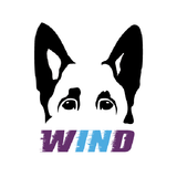 WatchDog Wind icône