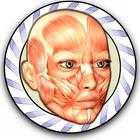 Speed Anatomy 图标