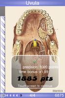 Speed Anatomy 截图 1