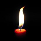 Holidays icon